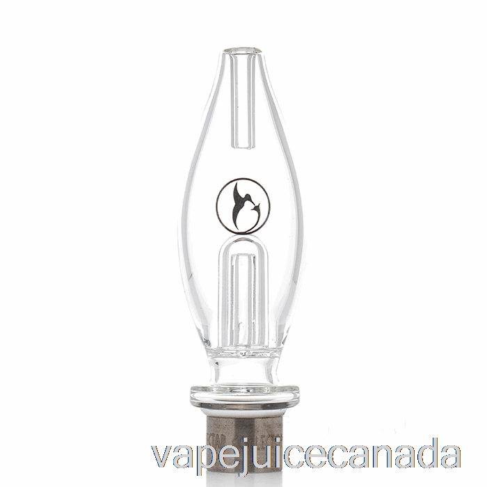 Vape Juice Nectar Collector Honeybird Core Kit Clear